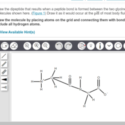 Draw the dipeptide asp-his at ph 7.0