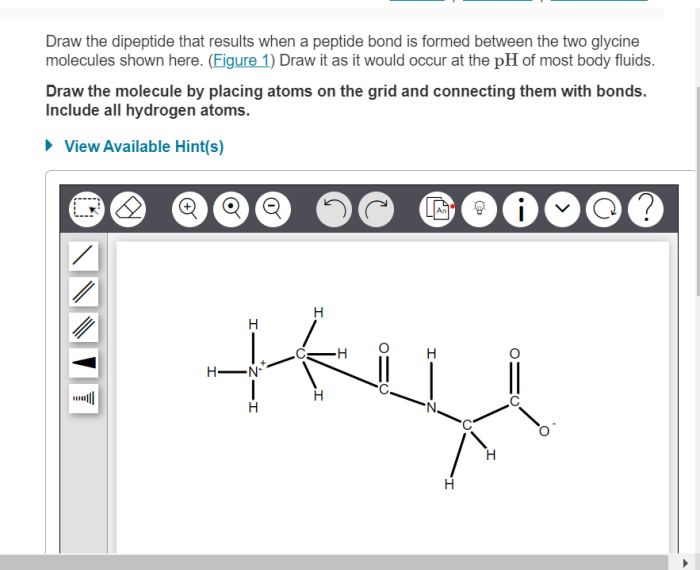 Draw the dipeptide asp-his at ph 7.0