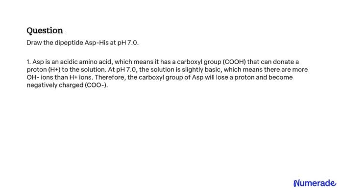 Draw the dipeptide asp-his at ph 7.0