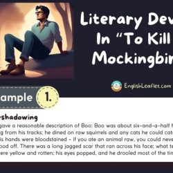 Literary devices to kill a mockingbird