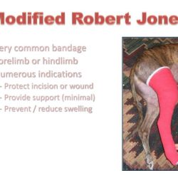 Robert jones bandage