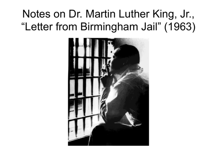 Questions for letter from birmingham jail