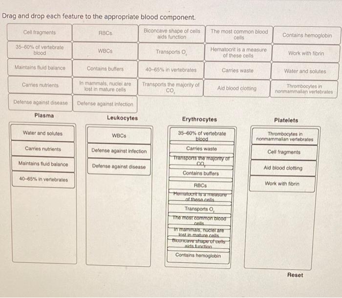 Drag and drop each feature to the appropriate blood component.