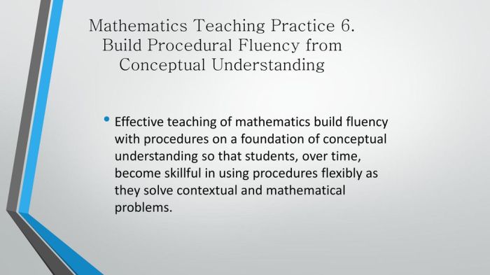 Build procedural fluency from conceptual understanding