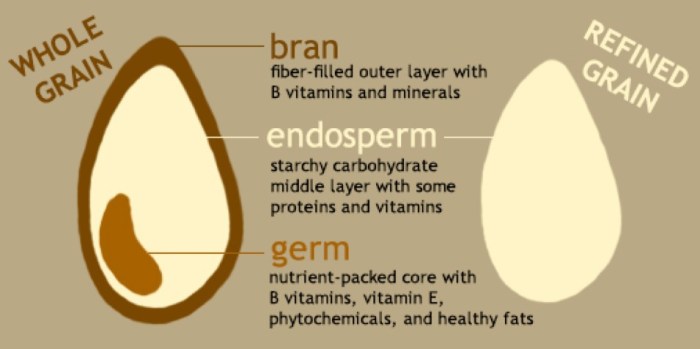 Fruit fruits vegetables eat veggies healthy fiber easy grains food whole foods legumes diet fresh vegetable herbs health wheat wellness